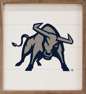 Bold Mascot Utah State University